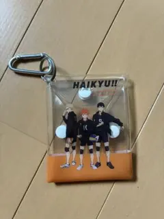 ハイキュー!! 烏野高校 クリアマルチケース