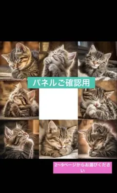 パネルご確認用　フラットポーチ