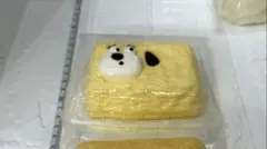 超超超超水感 即購入⭕️ 即日発送 わんちゃん 美品