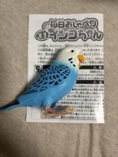 Karistrifeldt おしゃべり鳥 おもちゃ 2026年最新 おもちゃ おしゃべり