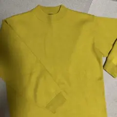 EMODA セーター　ニット　ニットセーター　マスタード
