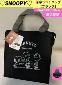 【新品】♡SNOOPY♡保冷ランチバッグS 約W22×D13×H22cm匿名配送