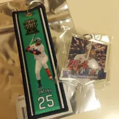 東京ヤクルトスワローズ　サンタナ選手　フライトタグ＆キーホルダー