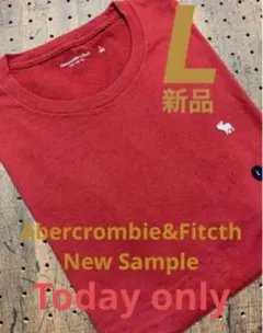 新品アバクロ正規品　アイコン刺繍　ヴィンテージ　Lサイズ　Tシャツ半袖