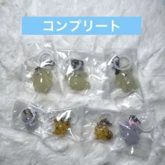 ポムポムプリン　めじるしアクセサリー　コンプリート