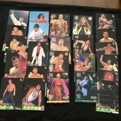 プロレスカード 2４枚セット