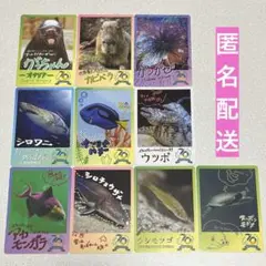 鳥羽水族館