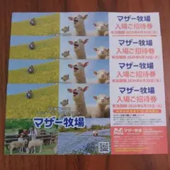 マザー牧場 テーマパーク