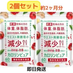 Item thumbnail for item 07ee3814-c3be-4172-8b42-fa1f876b9c16