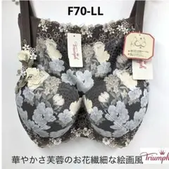 トリンプ プレミアム レッドレーベル0090 ブラジャーショーツセットF70LL