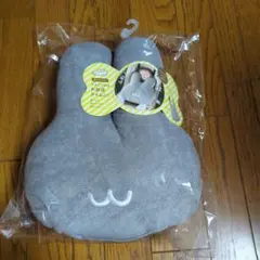 Item thumbnail for item 300a1667-48ea-491b-9b75-6acde80866b9