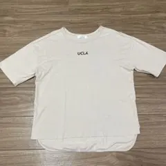 【UCLA】半袖 Tシャツ M ベージュ センターミニロゴ バックプリントのサムネイル