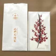 Item thumbnail for item 56b18c3d-6bb7-4872-adee-9f9cc34110db