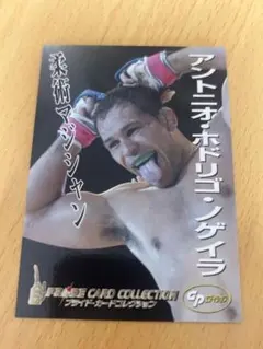 2025年最新】ホドリゴノゲイラの人気アイテム - メルカリ