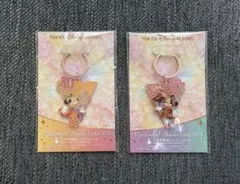 【三井不動産オリジナル】東京ディズニーリゾート　40周年記念キーホルダー