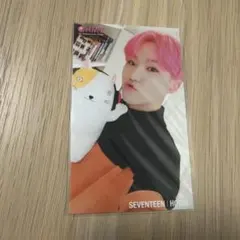 2026年最新】seventeen ホシ ぬいぐるみの人気アイテム - メルカリ