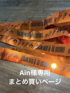 Ain様 リクエスト 2点 まとめ商品