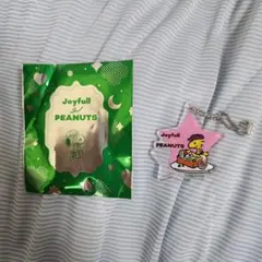 あきき様 リクエスト 2点 まとめ商品