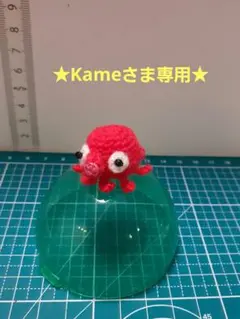 ★Kameさま専用★ページ
