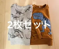 恐竜 トップス トレーナー セット