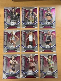 女子プロレス マリーゴールド カード ゼイダスティール トレカ WWE NXT