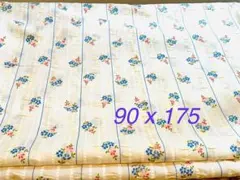 サッカー ストライプ