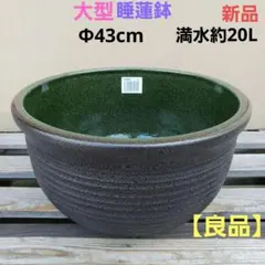 新品 ∅51 特大 陶器 睡蓮鉢 手造り メダカ鉢 難有 ラピスブルー LDB①