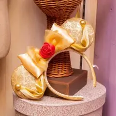 東京ディズニーランド『美女と野獣』カチューシ