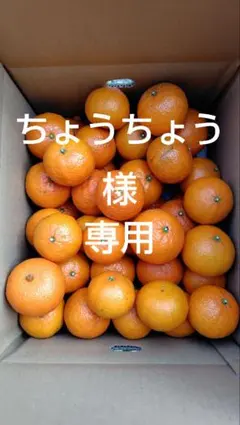 2026年最新】津之輝の人気アイテム - メルカリ
