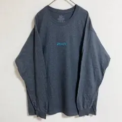 FRUIT OF THE LOOM グレー 長袖カットソー L Tシャツ　ロゴ