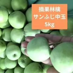 摘果りんご　加工用サンふじ林檎他ミックス　約5キロ 送料込み　68のサムネイル
