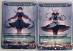 レイヴン様 リクエスト 2点 まとめ商品