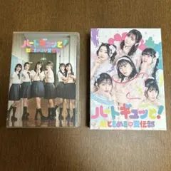 つばきファクトリー 河西結心 岸本ゆめの バースデーイベント2022 DVD