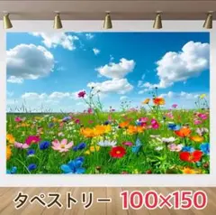 カラフル お花畑 春 青空 タペストリー 背景布 ＃67