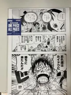 ワンピースベースショップ　原画　オールページ　ルフィ