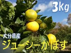 まゆりんさまご予約専用 大分県名産 ジューシーかぼす 3kg 種なし