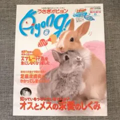 うさぎがピョン Vol.8 2008年8月号