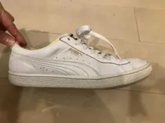 Puma スニーカー ホワイト 白 26.5cm
