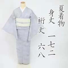 単衣夏用 夏塩澤紬 やまだ織 証紙付 逸品 トールサイズ 身丈164 (カ