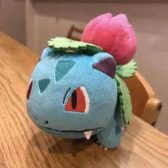 ポケモンセンター　フシギソウ Pokemon fit フィット　ぬいぐるみ