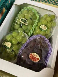 高島屋 カタログギフト ぐるめ百華 朱鷺コース プレゼント お祝い