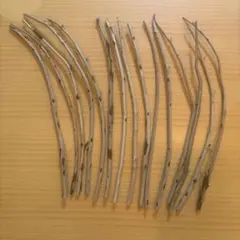 Item thumbnail for item 942e9183-ceb0-4034-8146-51bdd08217dd