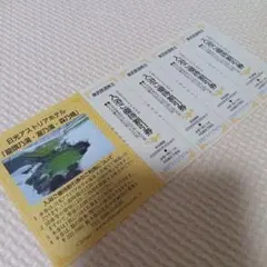 日光アストリアホテル 　入浴ご優待割引券　2026年6月30日まで有効