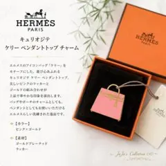 未使用★HERMES キュリオジテ ケリー ペンダントトップ チャームのサムネイル