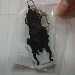 ぶらめい いを。 アクキー