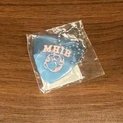 2025年最新】myhairisbad ピックの人気アイテム - メルカリ