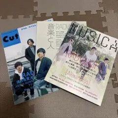 Mrs. GREEN APPLE 雑誌まとめ売り　レア