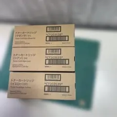 Epson 純正インクカートリッジセット SC1シリーズなど 未開封 2027年 Epson 純正インクカートリッジセット SC1シリーズなど 未開封 2027年