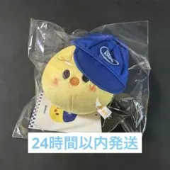 ポガリ アイドル