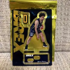 宇都宮ブレックス アクスタ